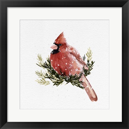 Framed Cardinal with Snow II Print