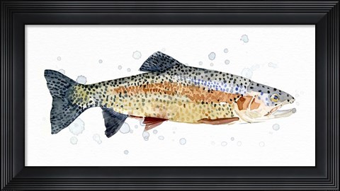 Framed Watercolor Rainbow Trout I Print