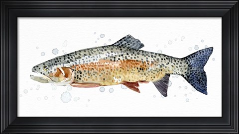 Framed Watercolor Rainbow Trout II Print