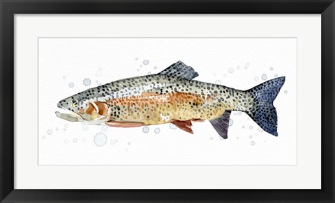 Framed Watercolor Rainbow Trout II Print