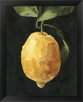 Framed Dark Lemon I Print