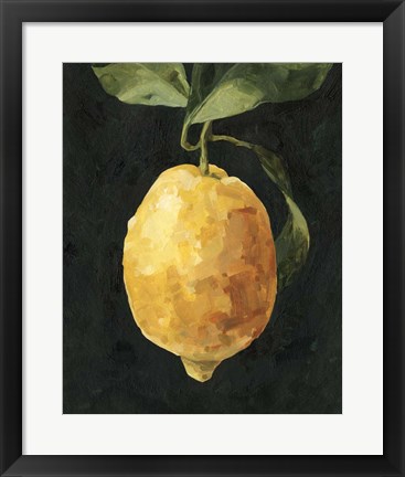 Framed Dark Lemon I Print