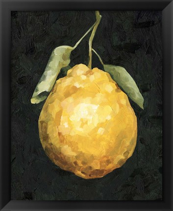Framed Dark Lemon II Print