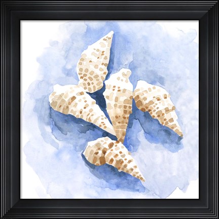 Framed Shell Impressions I Print