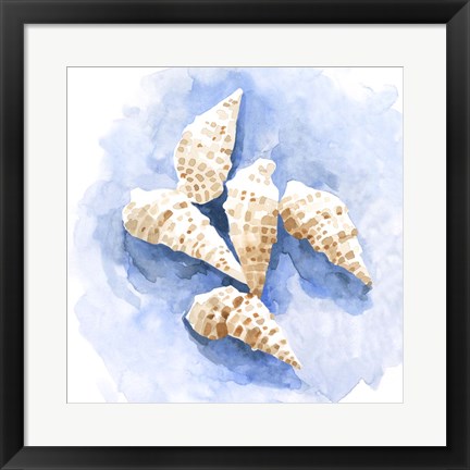 Framed Shell Impressions I Print