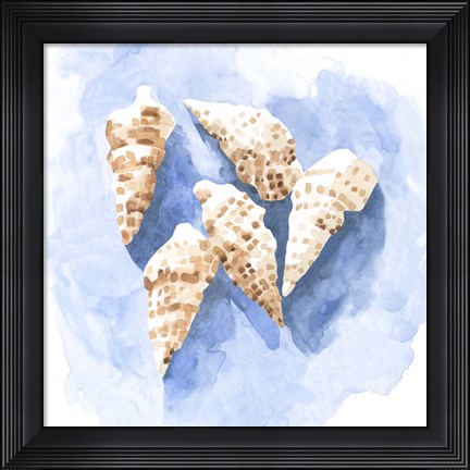 Framed Shell Impressions II Print