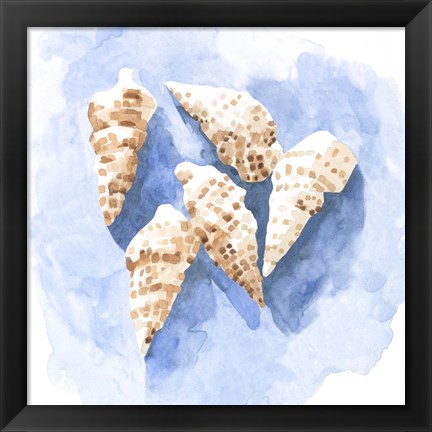 Framed Shell Impressions II Print