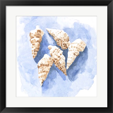 Framed Shell Impressions II Print