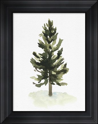 Framed Watercolor Pine I Print