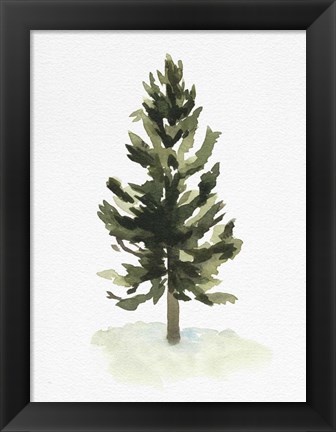 Framed Watercolor Pine I Print