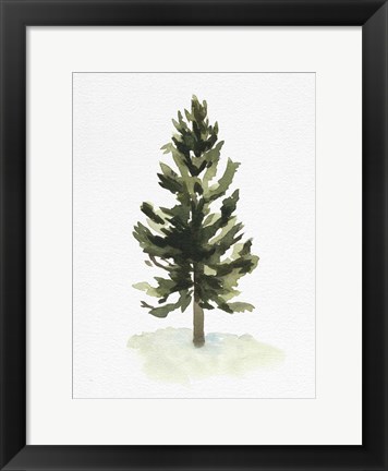 Framed Watercolor Pine I Print