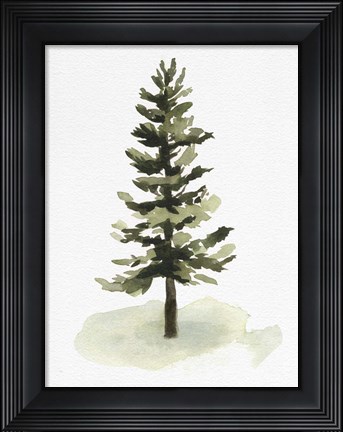 Framed Watercolor Pine II Print