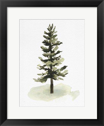 Framed Watercolor Pine II Print