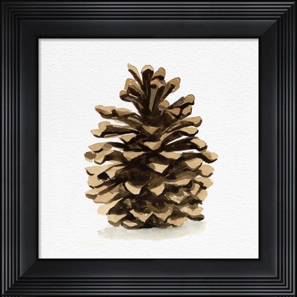 Framed Conifer Cone I Print