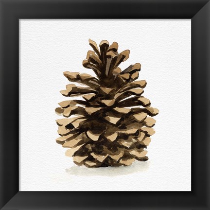 Framed Conifer Cone I Print