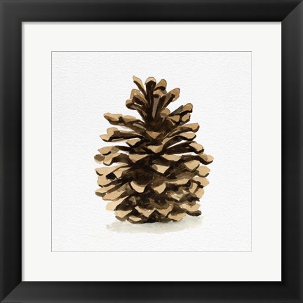 Framed Conifer Cone I Print