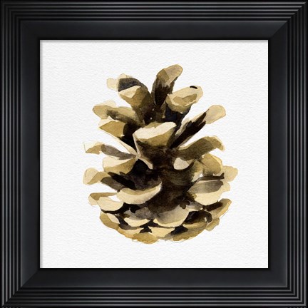 Framed Conifer Cone II Print