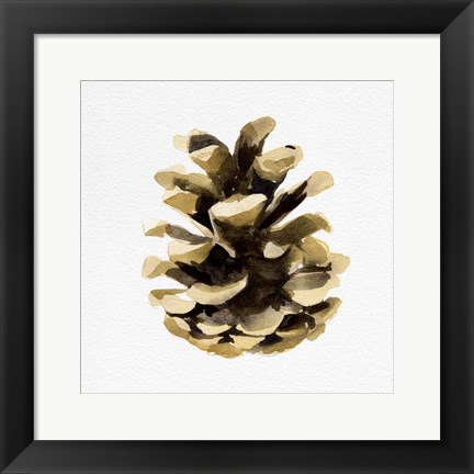 Framed Conifer Cone II Print