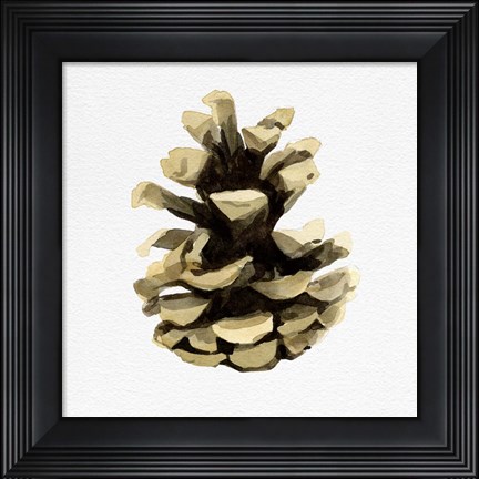 Framed Conifer Cone III Print