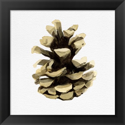 Framed Conifer Cone III Print