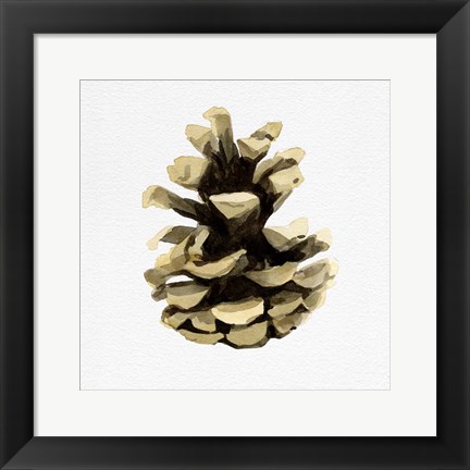 Framed Conifer Cone III Print