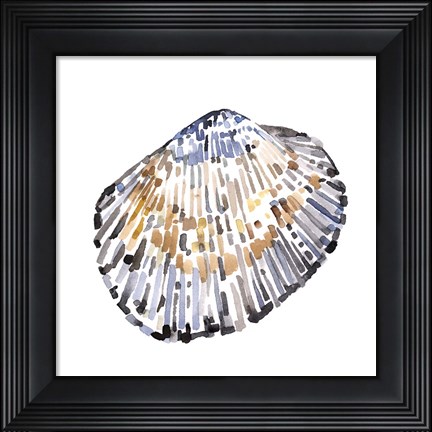 Framed Simple Shells IV Print