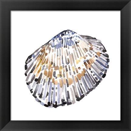 Framed Simple Shells IV Print