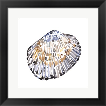 Framed Simple Shells IV Print