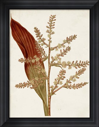 Framed Muted Botanicals I Print