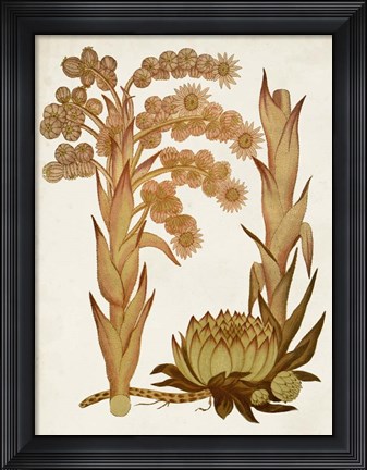 Framed Muted Botanicals II Print