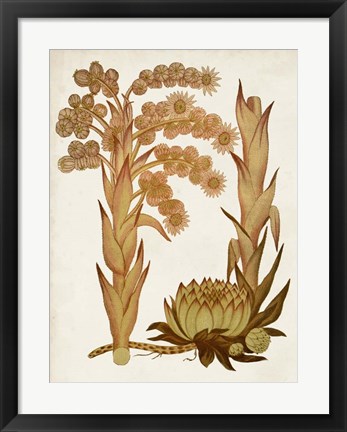 Framed Muted Botanicals II Print