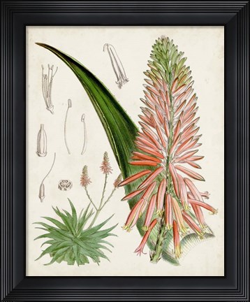 Framed Delicate Tropicals I Print