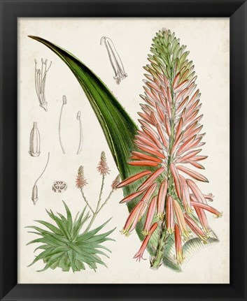 Framed Delicate Tropicals I Print