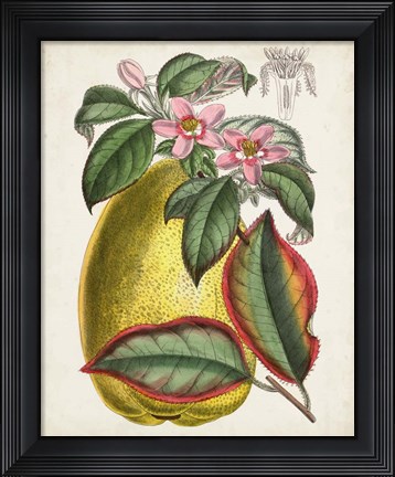 Framed Delicate Tropicals V Print