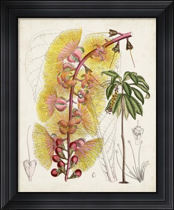 Framed Delicate Tropicals VII Print