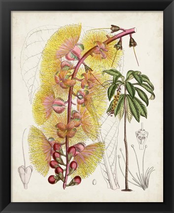 Framed Delicate Tropicals VII Print