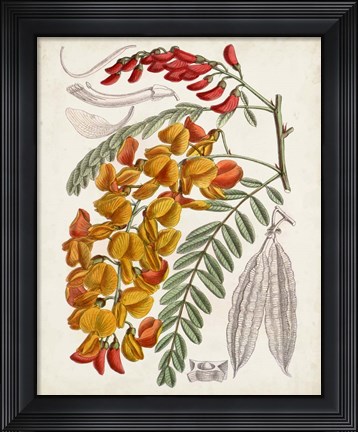 Framed Delicate Tropicals IX Print