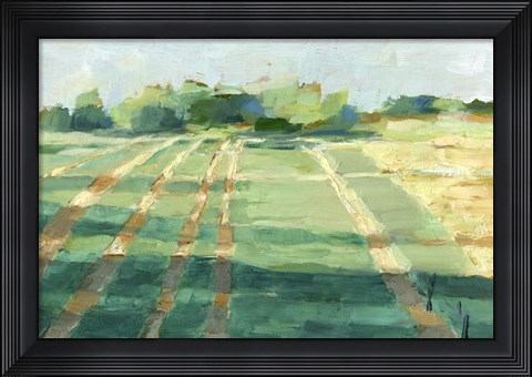 Framed Mid Summer Shadows I Print
