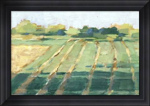 Framed Mid Summer Shadows II Print