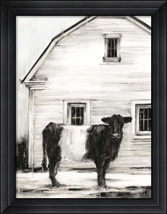 Framed Belted Galloway I Print