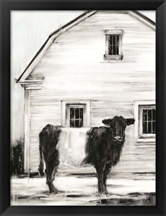 Framed Belted Galloway I Print