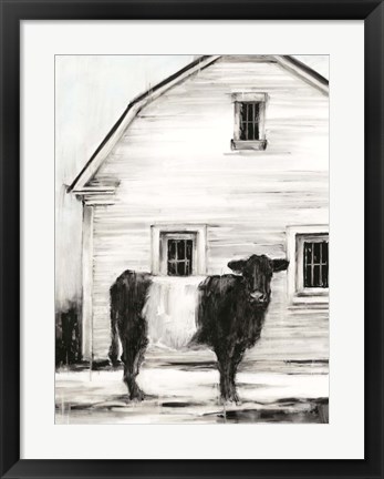 Framed Belted Galloway I Print