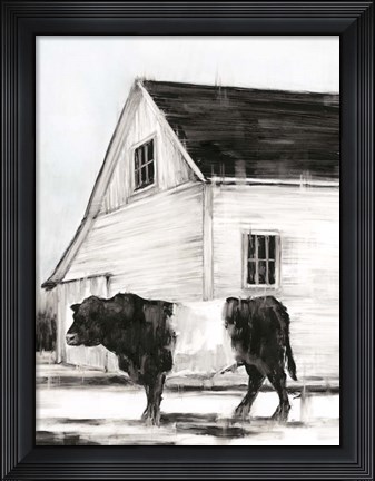 Framed Belted Galloway II Print