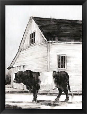 Framed Belted Galloway II Print