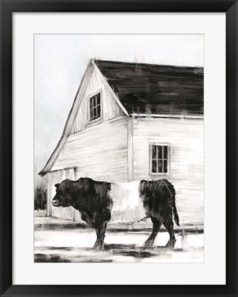 Framed Belted Galloway II Print