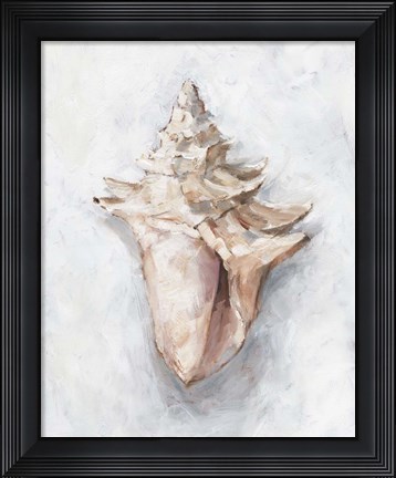 Framed White Shell Study I Print