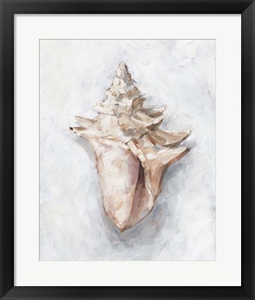Framed White Shell Study I Print