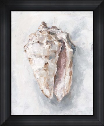 Framed White Shell Study II Print