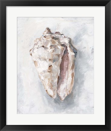 Framed White Shell Study II Print