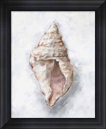 Framed White Shell Study III Print